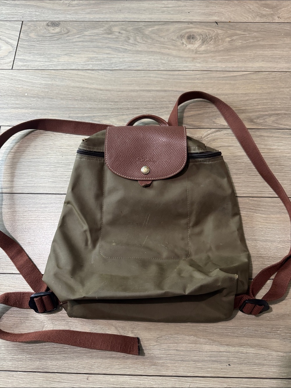 Longchamp Olive Green  Backpack